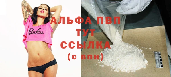apvp Магадан