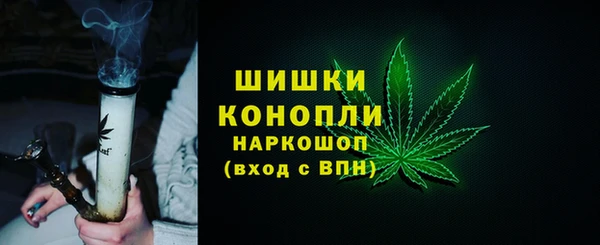 дурь Богданович