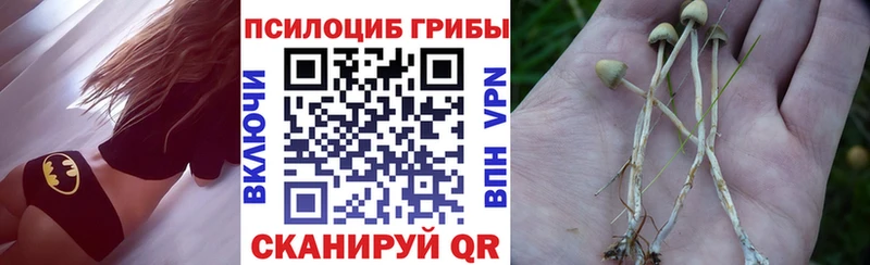 Псилоцибиновые грибы мицелий  где купить наркоту  Сертолово 