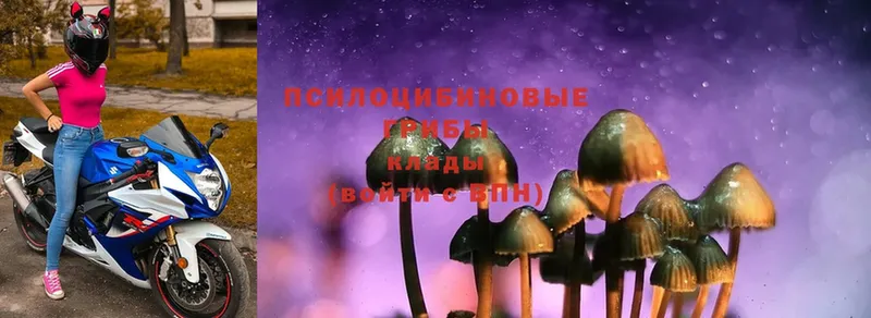 Псилоцибиновые грибы MAGIC MUSHROOMS  Сертолово 